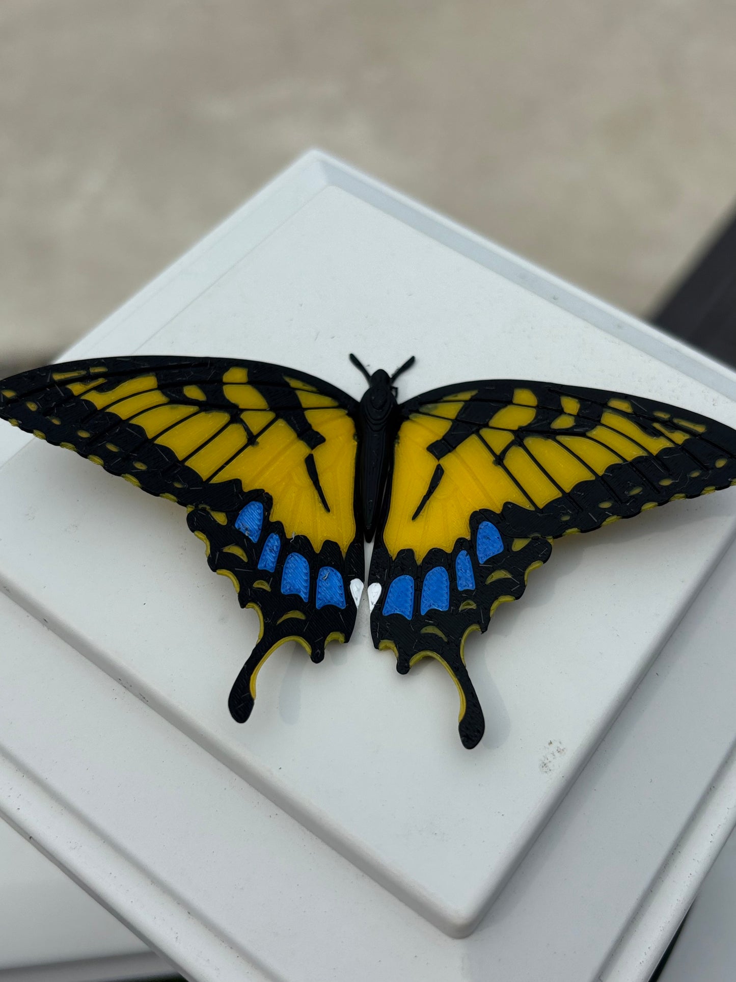 3D Butterfly Magnet