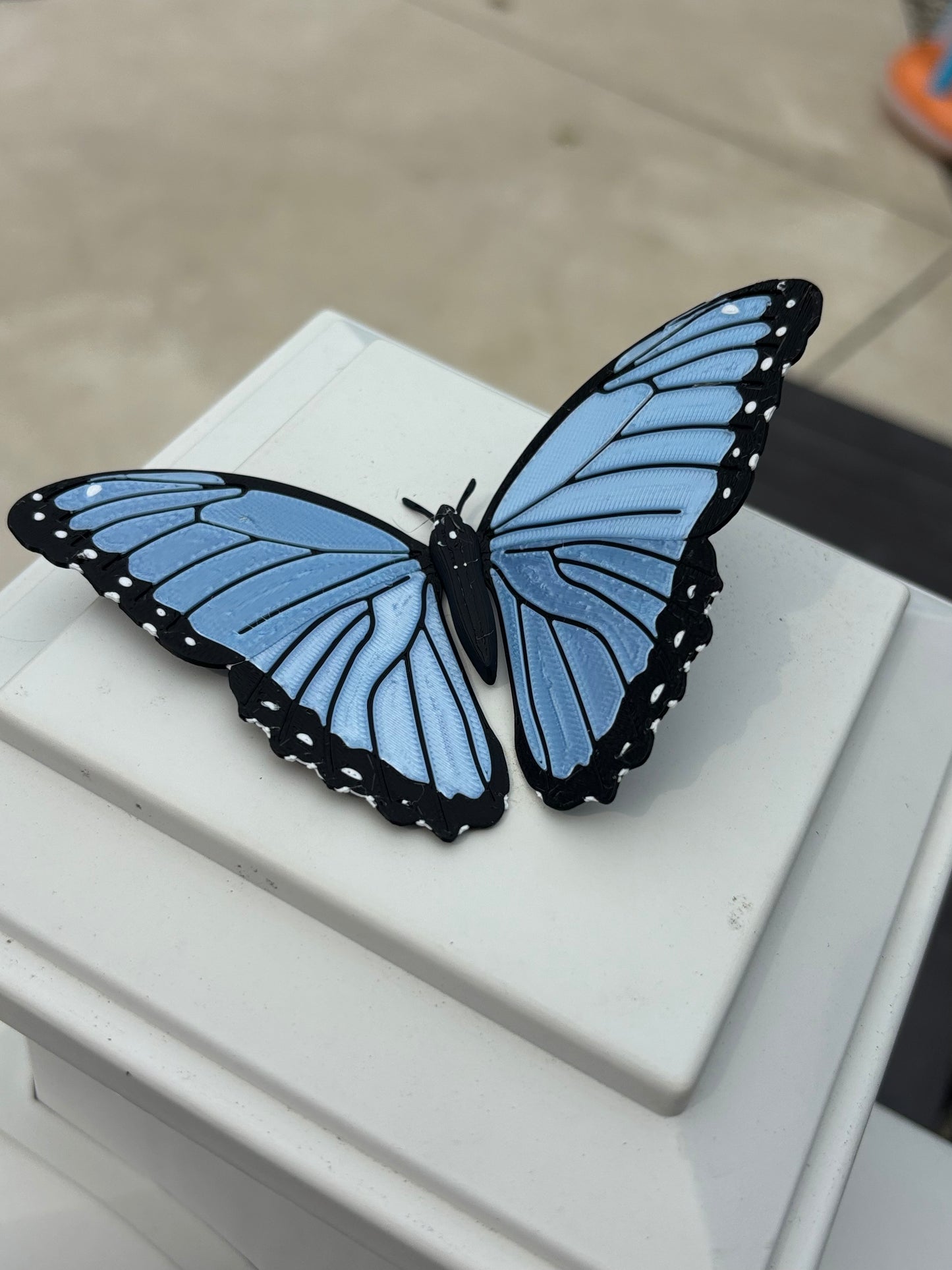 3D Butterfly Magnet